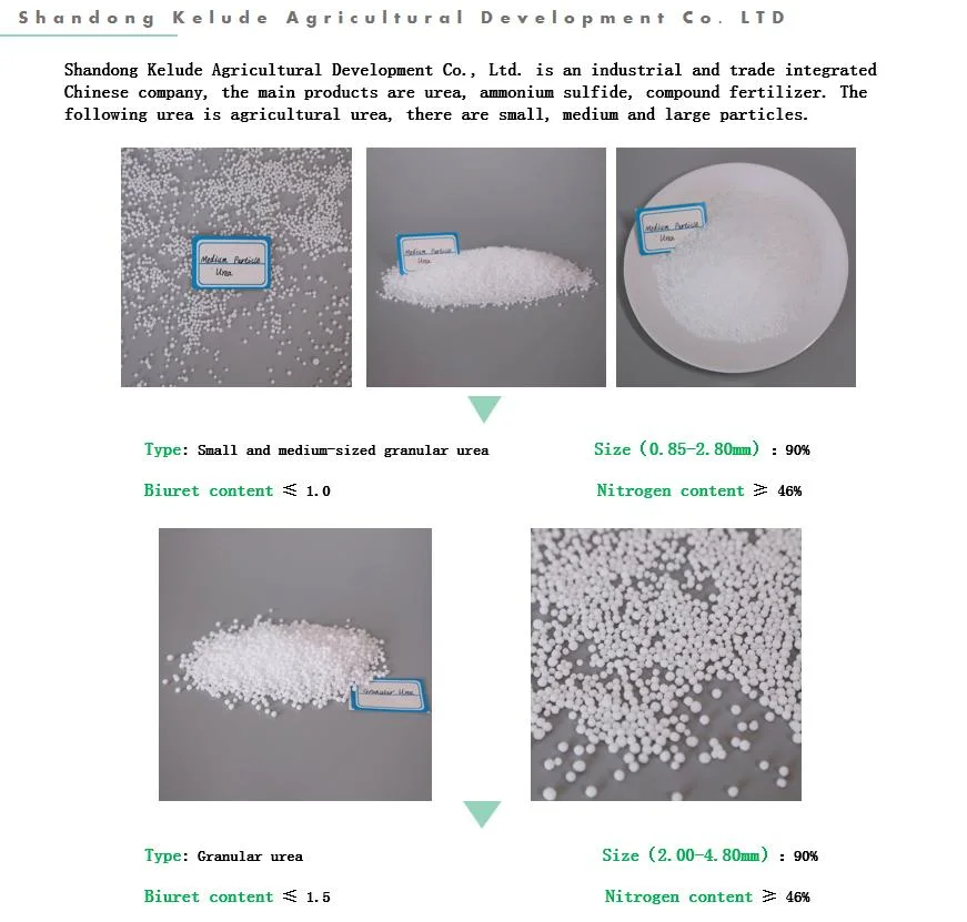 China High Quality Cheap Price Industry Urea Factory