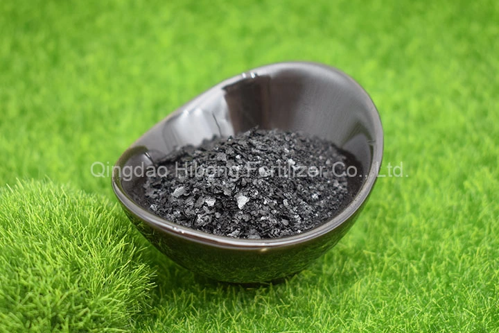 Hot Sales Natural High Quality Seaweed Extract From Kelp Seaweed