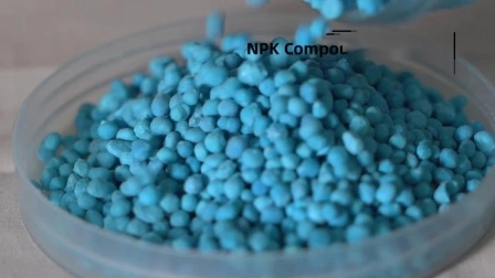 Adubo Composto NPK 21